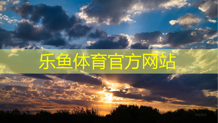 网球网子每集